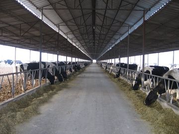 Cina Pra-Direkayasa baja membingkai sistem peternakan sapi / kuda dengan atap panel pemasok
